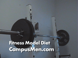 Male Fitness Model Diet